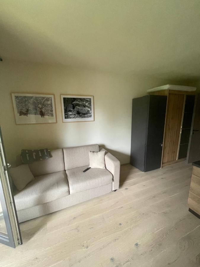 Apartmán pod Jasanem Hojsova Stráž Brčálník Zelezna Ruda Exterior foto