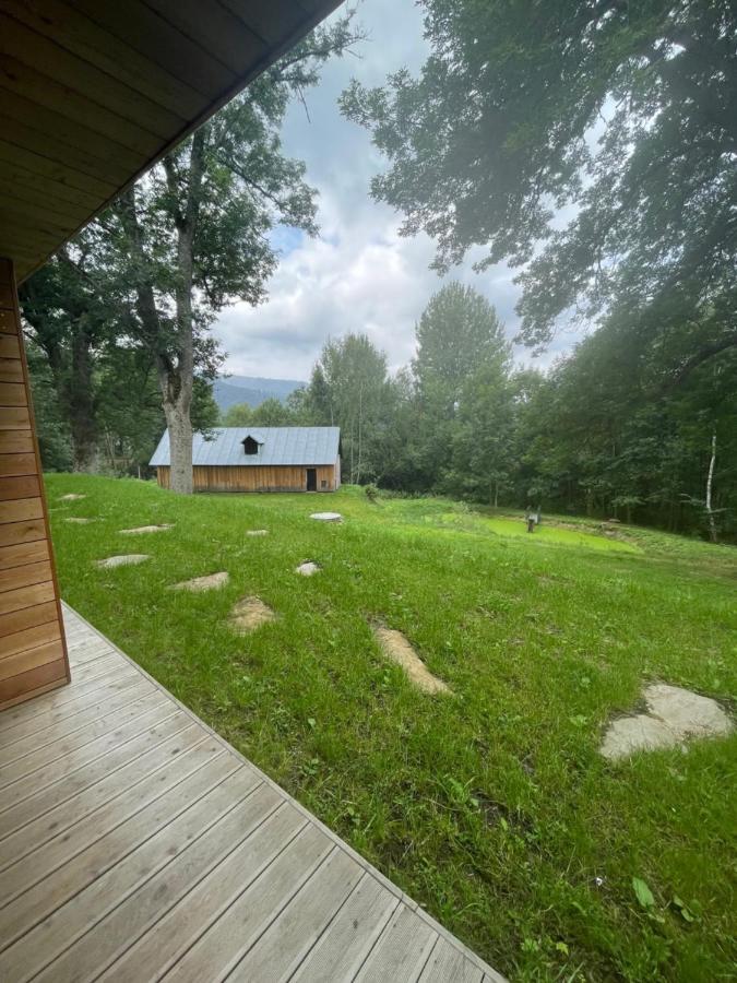 Apartmán pod Jasanem Hojsova Stráž Brčálník Zelezna Ruda Exterior foto