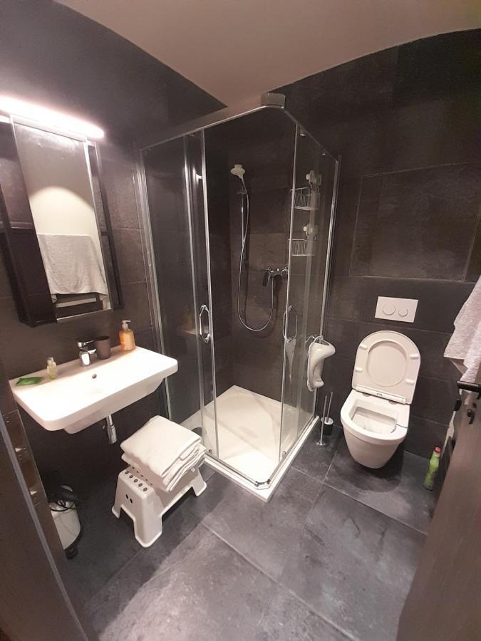 Apartmán pod Jasanem Hojsova Stráž Brčálník Zelezna Ruda Exterior foto