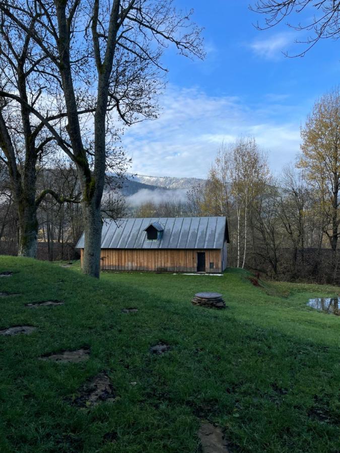 Apartmán pod Jasanem Hojsova Stráž Brčálník Zelezna Ruda Exterior foto