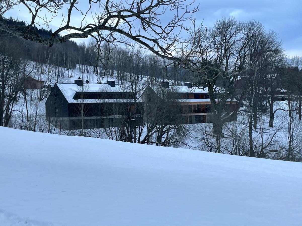 Apartmán pod Jasanem Hojsova Stráž Brčálník Zelezna Ruda Exterior foto