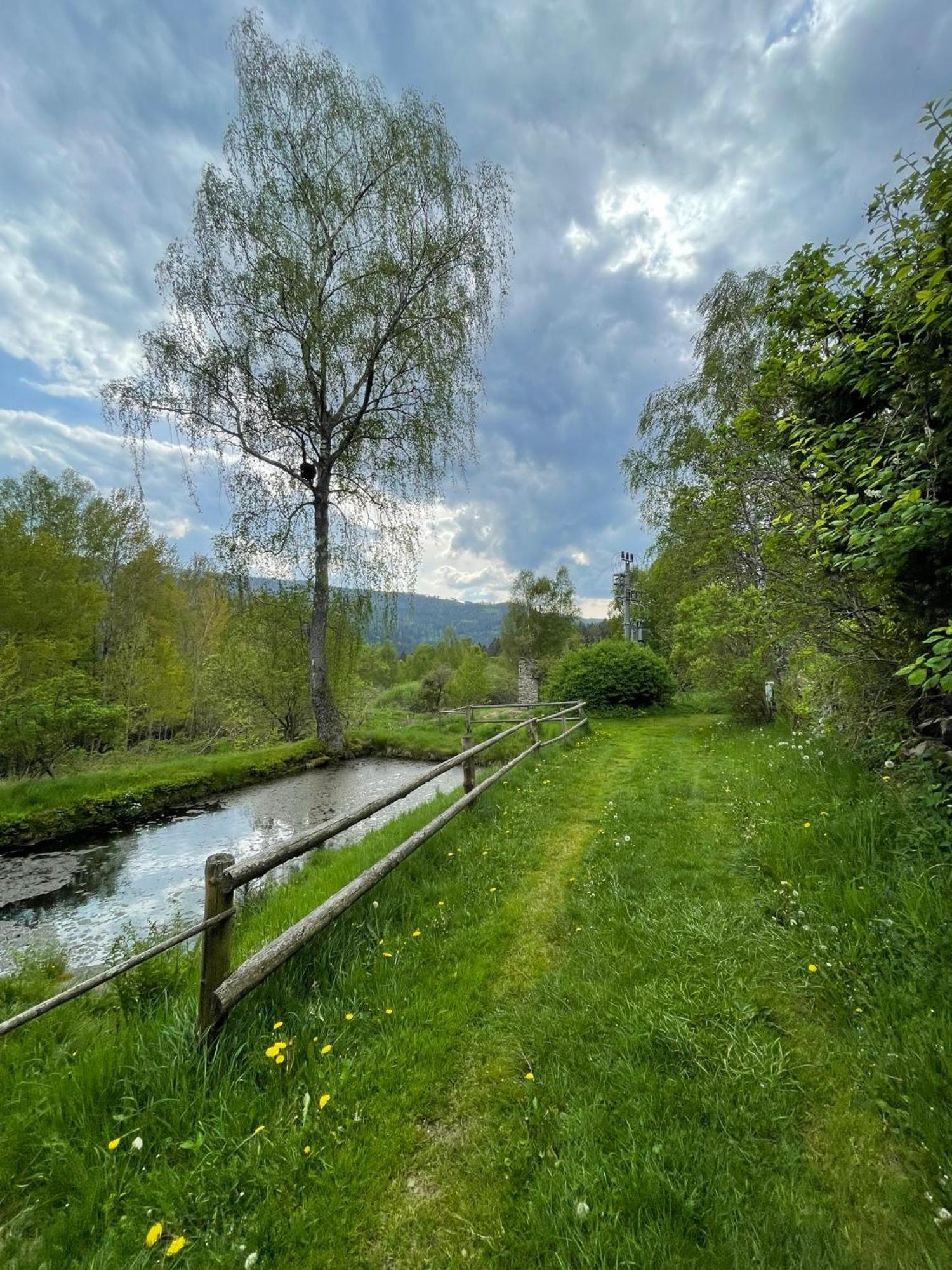 Apartmán pod Jasanem Hojsova Stráž Brčálník Zelezna Ruda Exterior foto